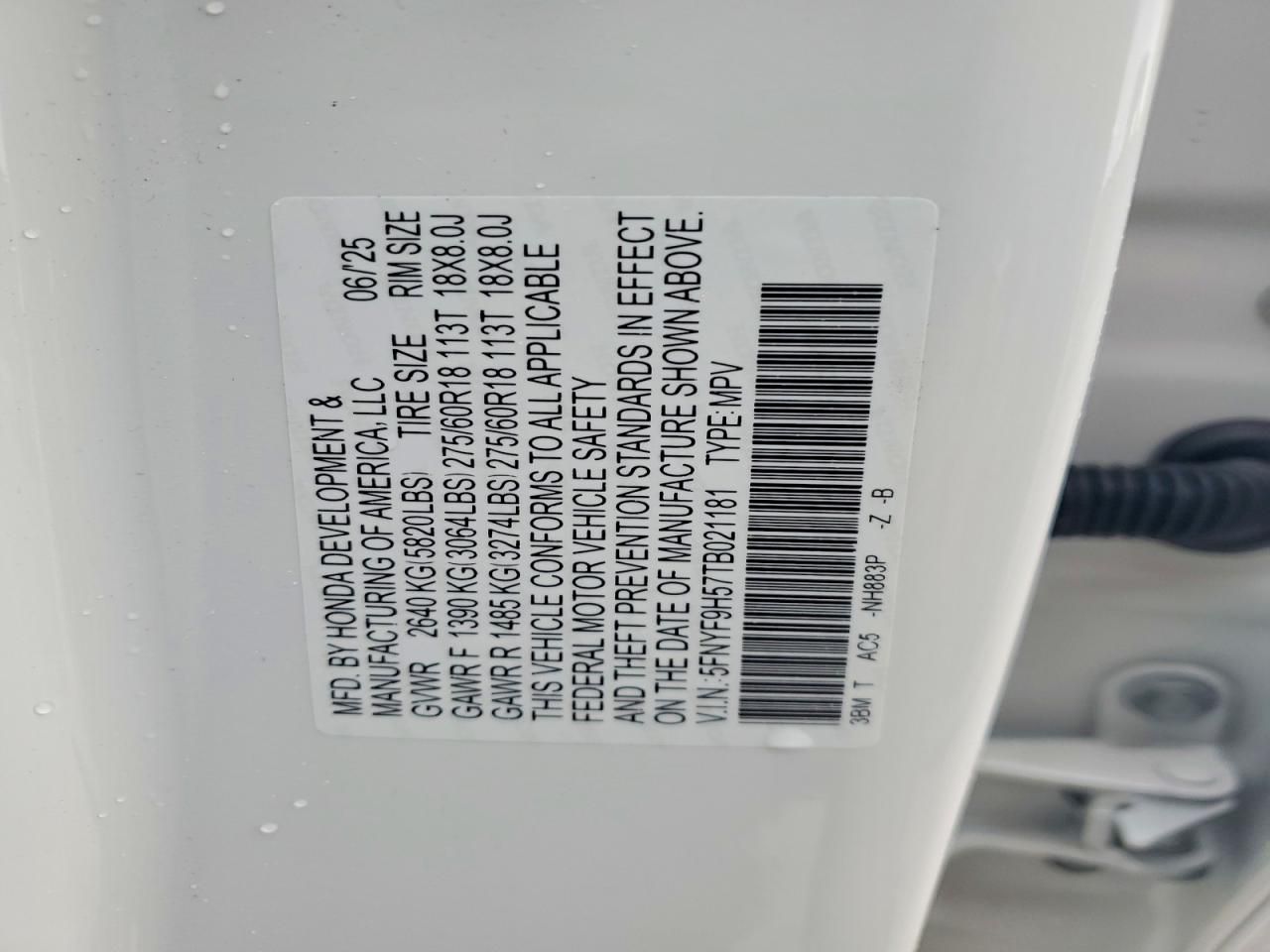 2026 Honda Passport Trail Sport