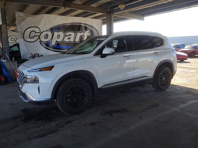 2023 Hyundai Santa fe sel Premium