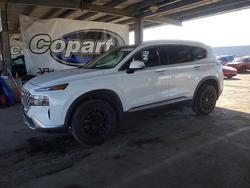 2023 Hyundai Santa fe sel Premium en venta en Hayward, CA