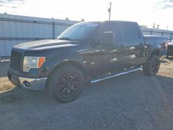 Salvage cars for sale from Copart Mercedes, TX: 2012 Ford F150 Supercrew