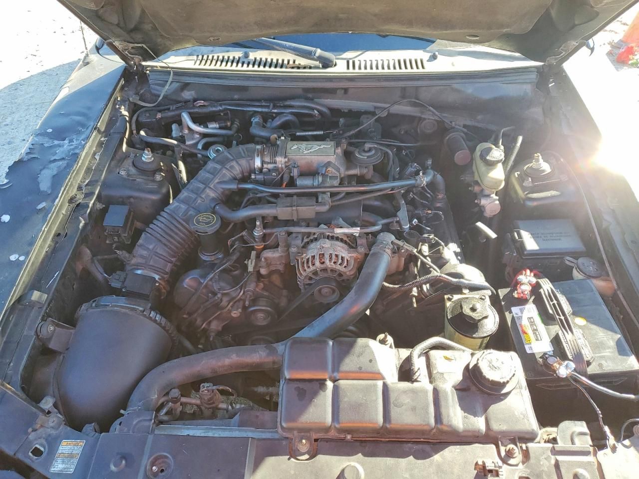 2000 Ford Mustang gt