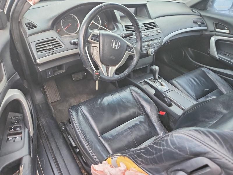 2011 Honda Accord exl