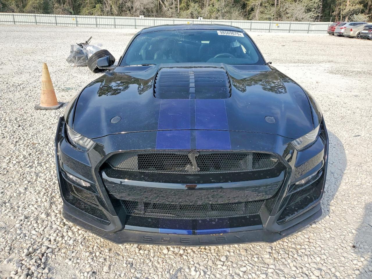 2021 Ford Mustang Shelby Gt500