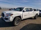 2023 Toyota Tacoma Double cab