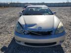 2004 Lexus Es 330