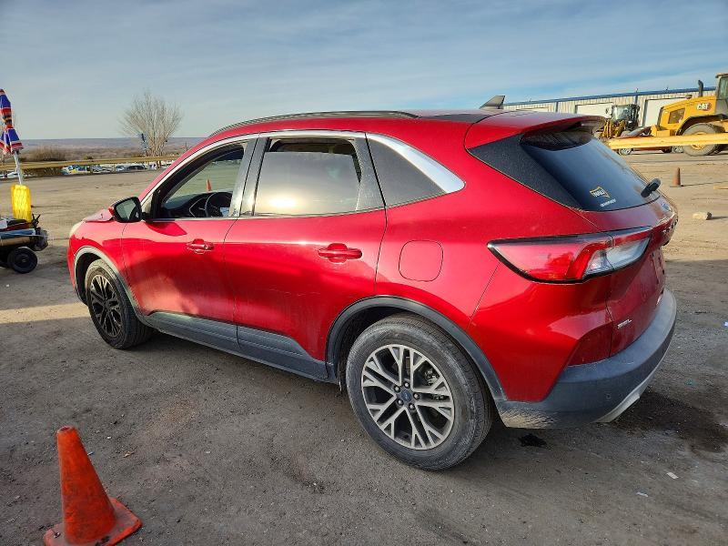 2022 Ford Escape sel