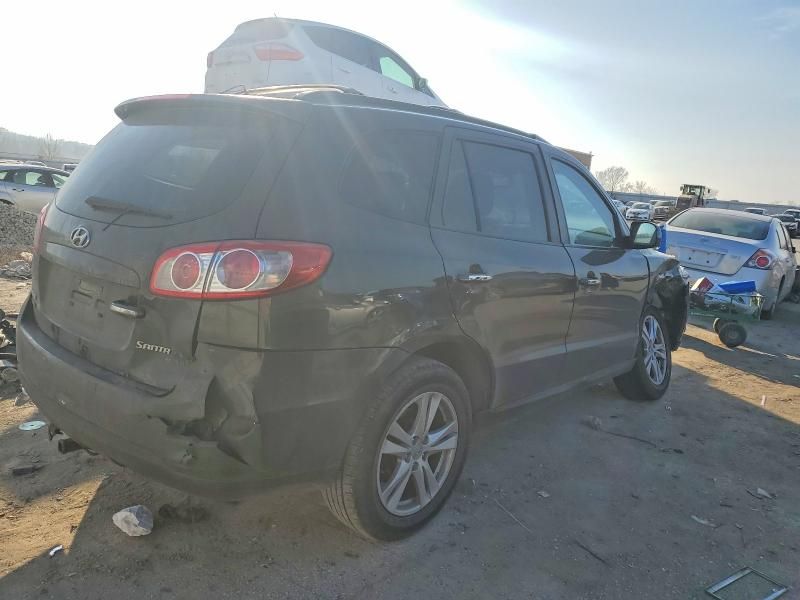 2010 Hyundai Santa fe Limited
