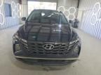 2024 Hyundai Tucson Blue