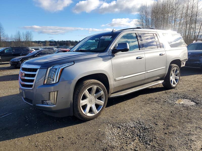2019 Cadillac Escalade esv Luxury