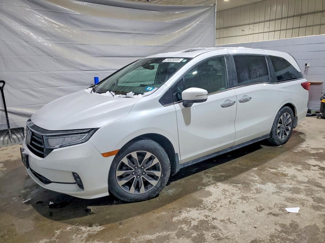 2022 Honda Odyssey exl