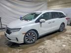 2022 Honda Odyssey exl