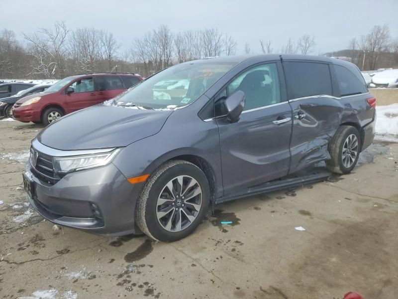 2024 Honda Odyssey exl