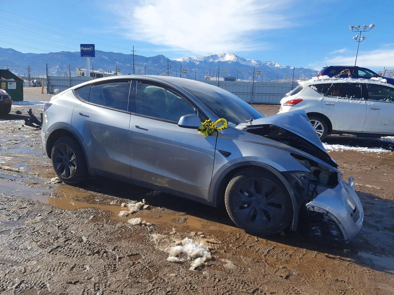 2025 Tesla Model y