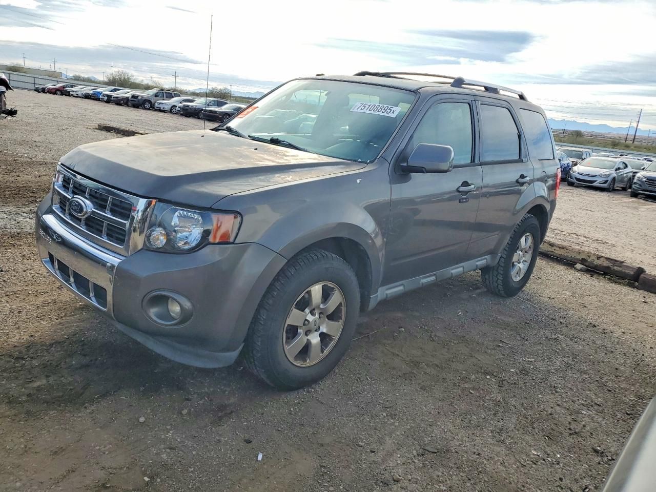 2011 Ford Escape Limited