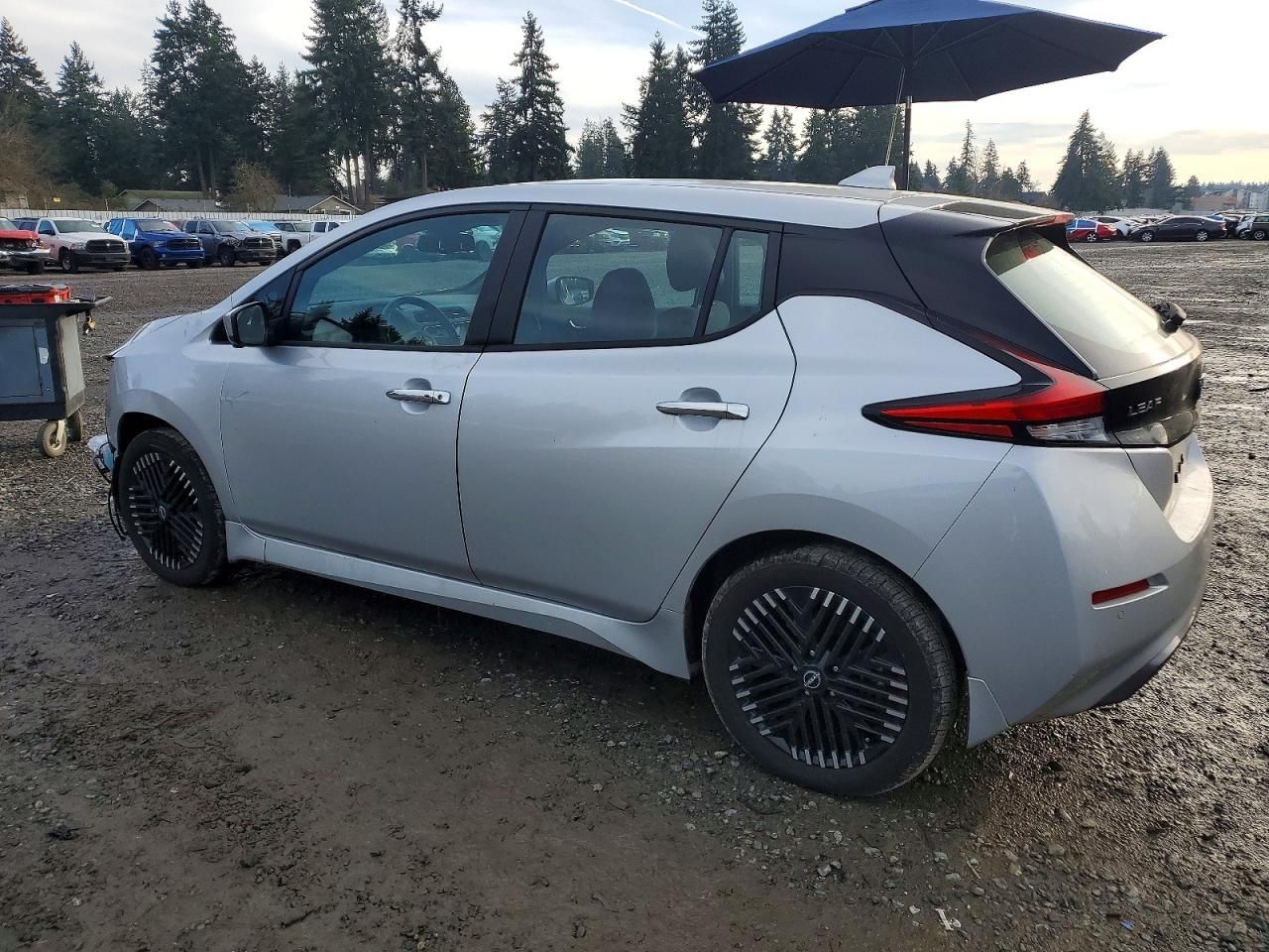 2025 Nissan Leaf sv Plus