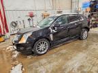 2015 Cadillac Srx Performance Collection