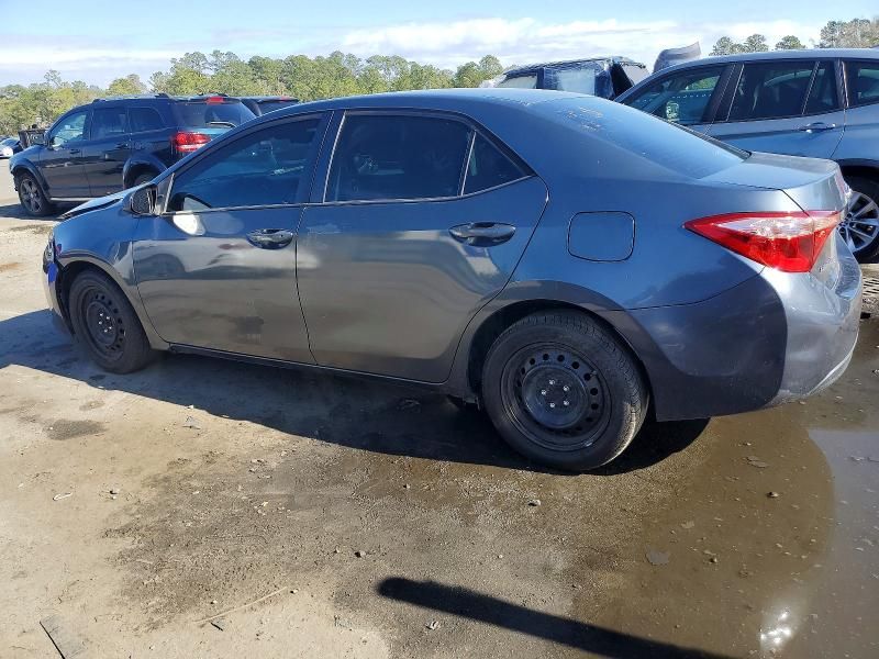 2019 Toyota Corolla l