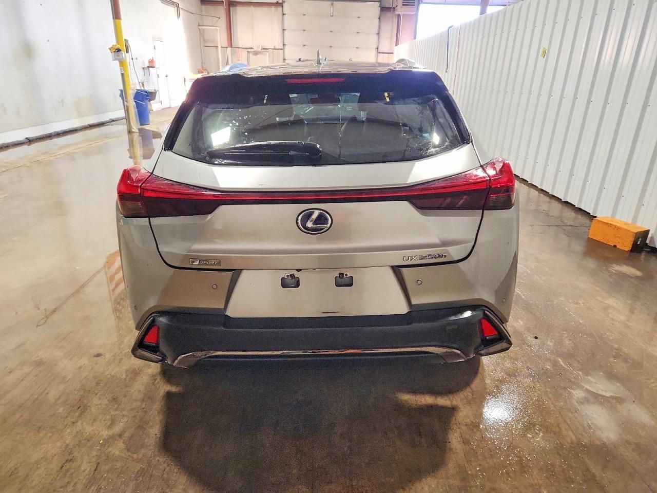 2019 Lexus Ux 250h
