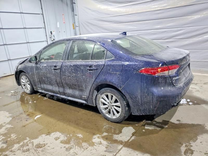 2023 Toyota Corolla le