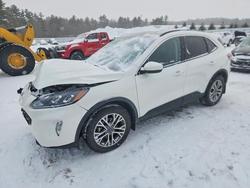 Ford salvage cars for sale: 2021 Ford Escape sel