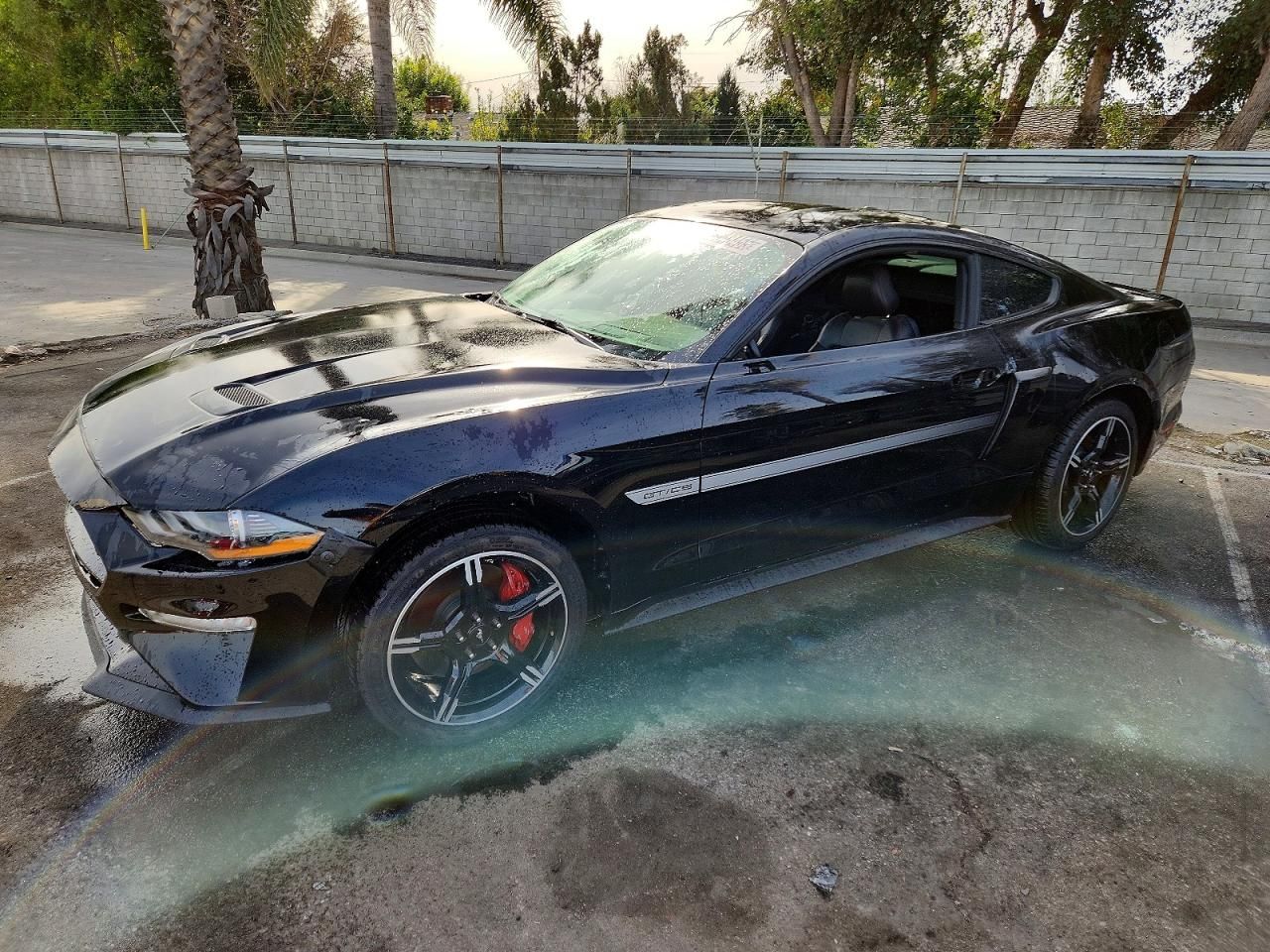2019 Ford Mustang gt