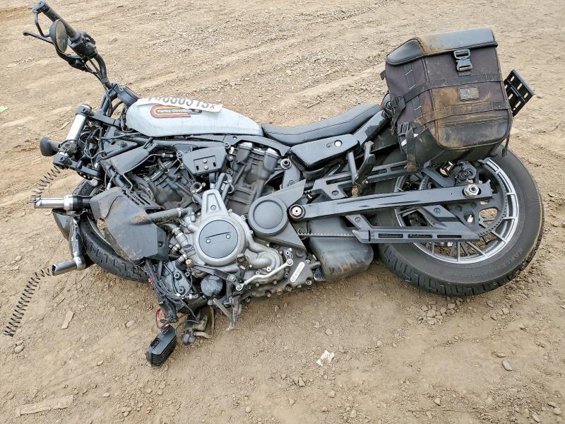2024 Harley-Davidson Night