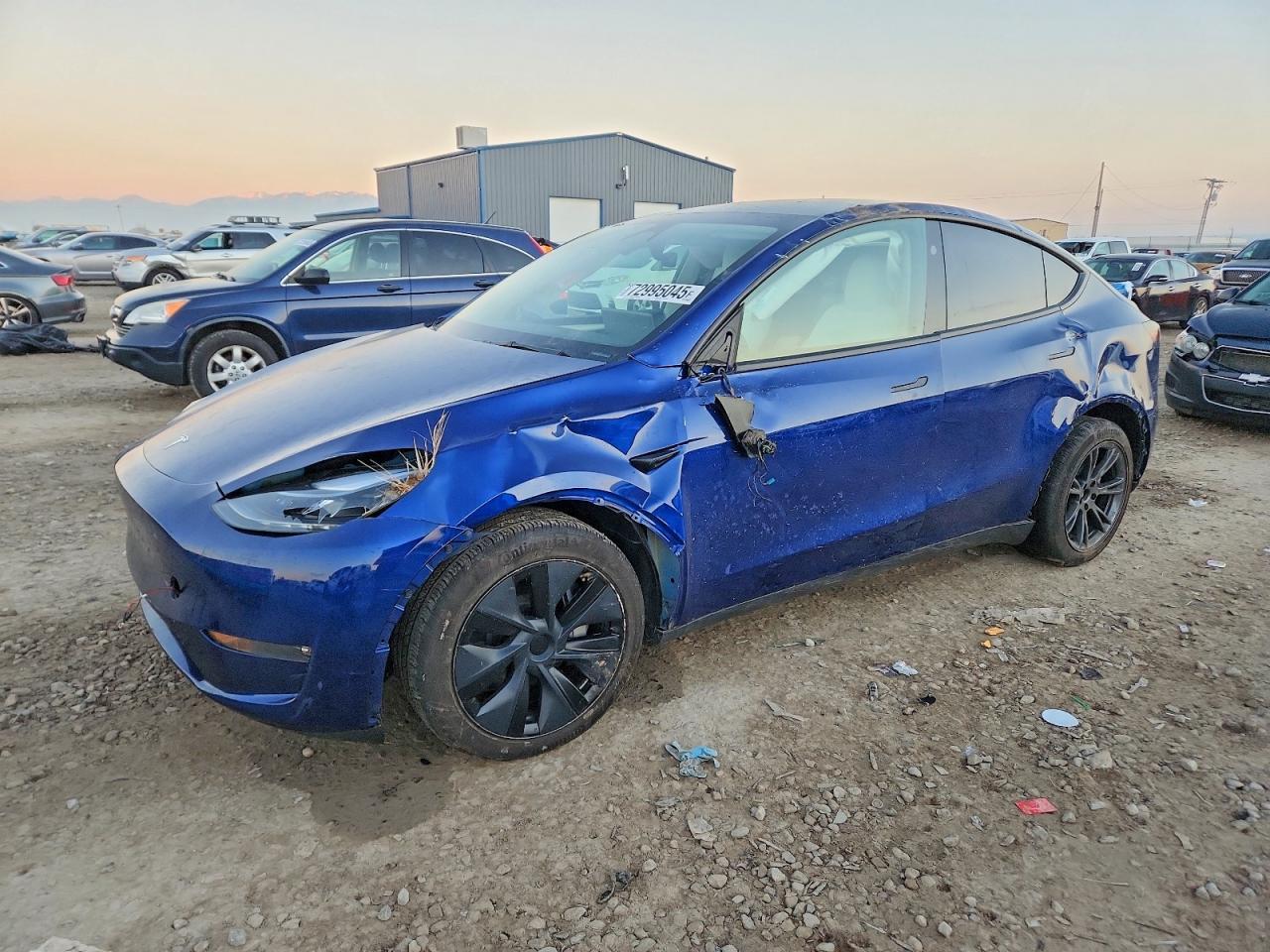 2025 Tesla Model y