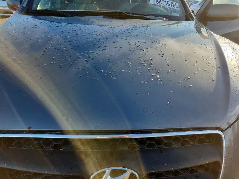 2009 Hyundai Santa fe se