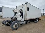 2024 Frht - Freightliner 2024 Freightliner Business Class M2 BOX Truck