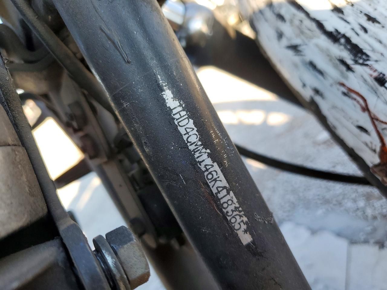 2006 Harley-Davidson XL883 L