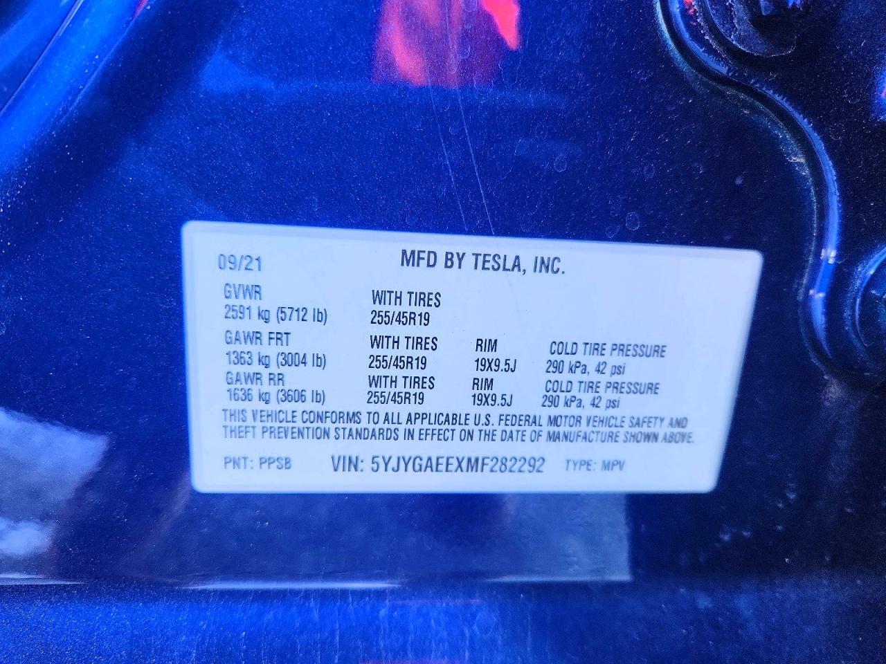 2021 Tesla Model y