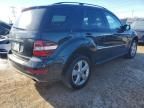 2009 Mercedes-Benz Ml 350