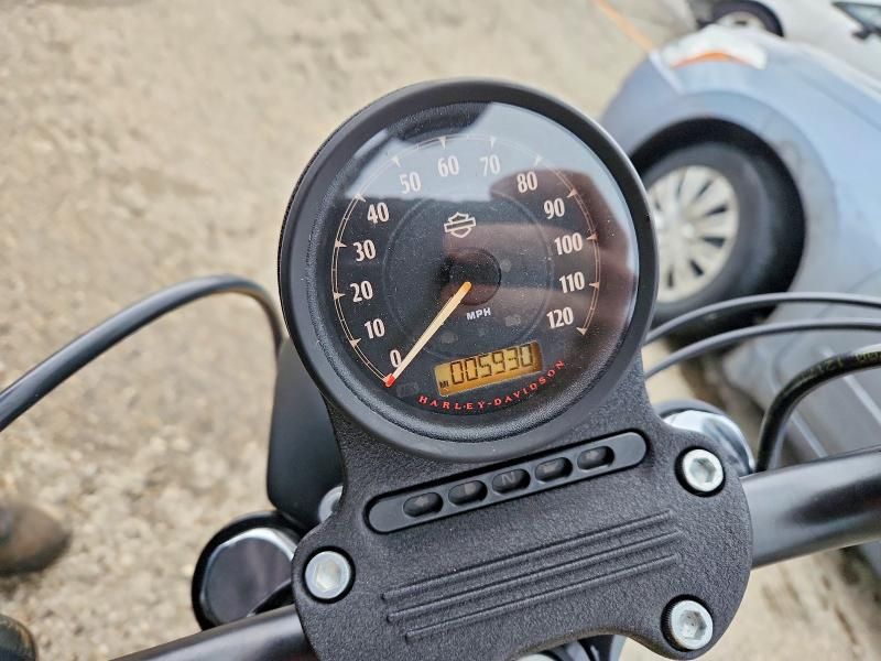 2019 Harley-Davidson XL883 N