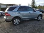 2015 Mercedes-Benz Ml 350