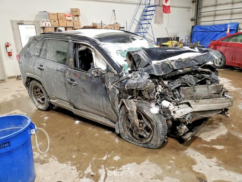 2020 Toyota Rav4 xle