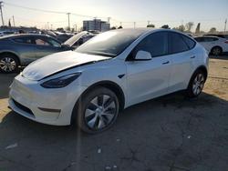 Tesla salvage cars for sale: 2024 Tesla Model y