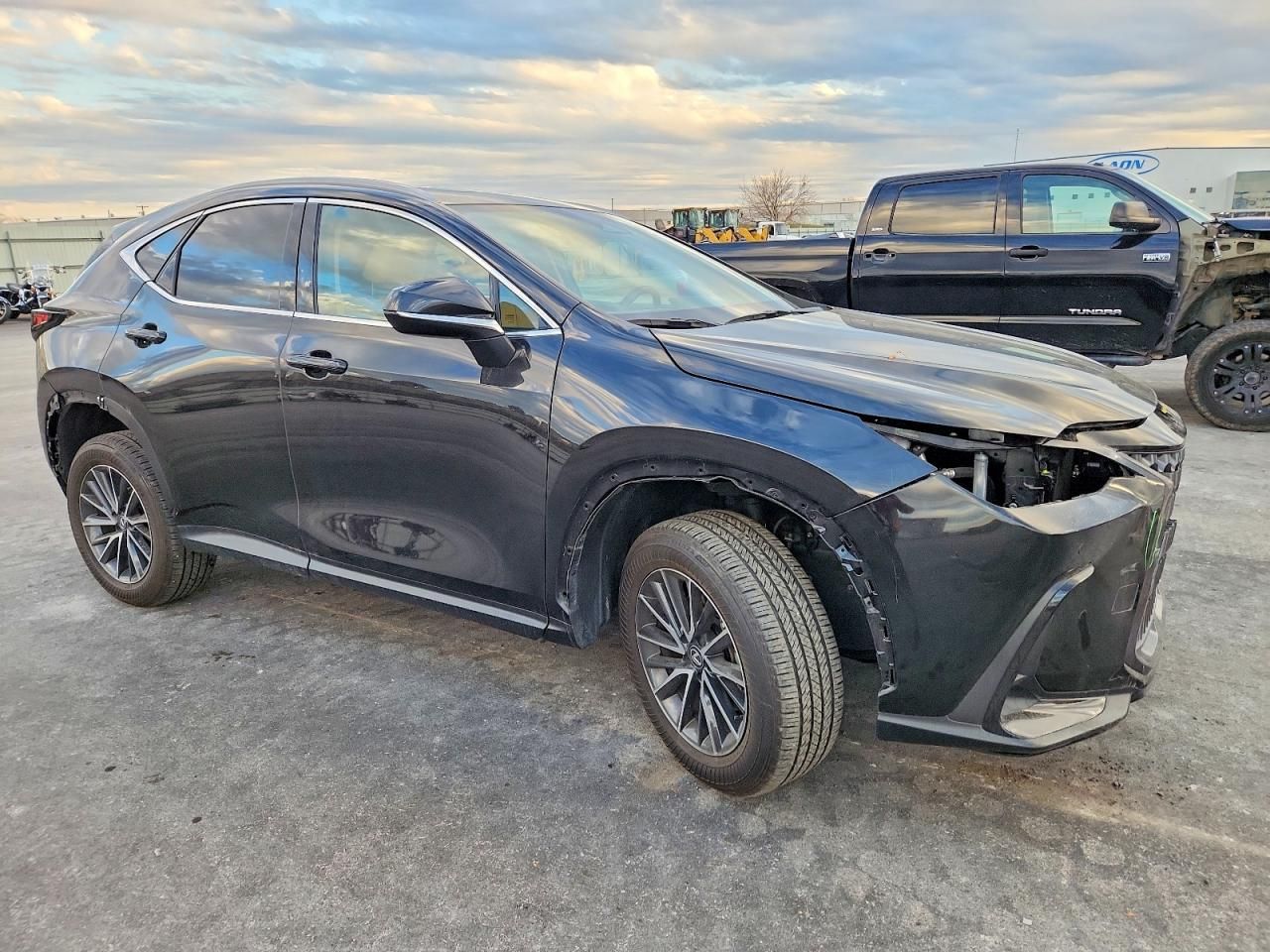 2025 Lexus Nx 250 Premium