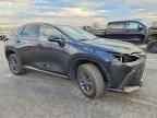 2025 Lexus Nx 250 Premium