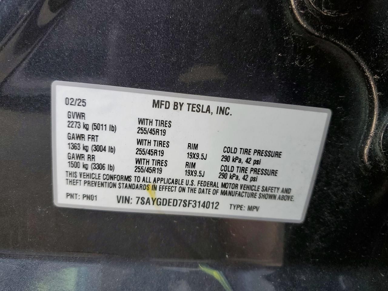 2025 Tesla Model y