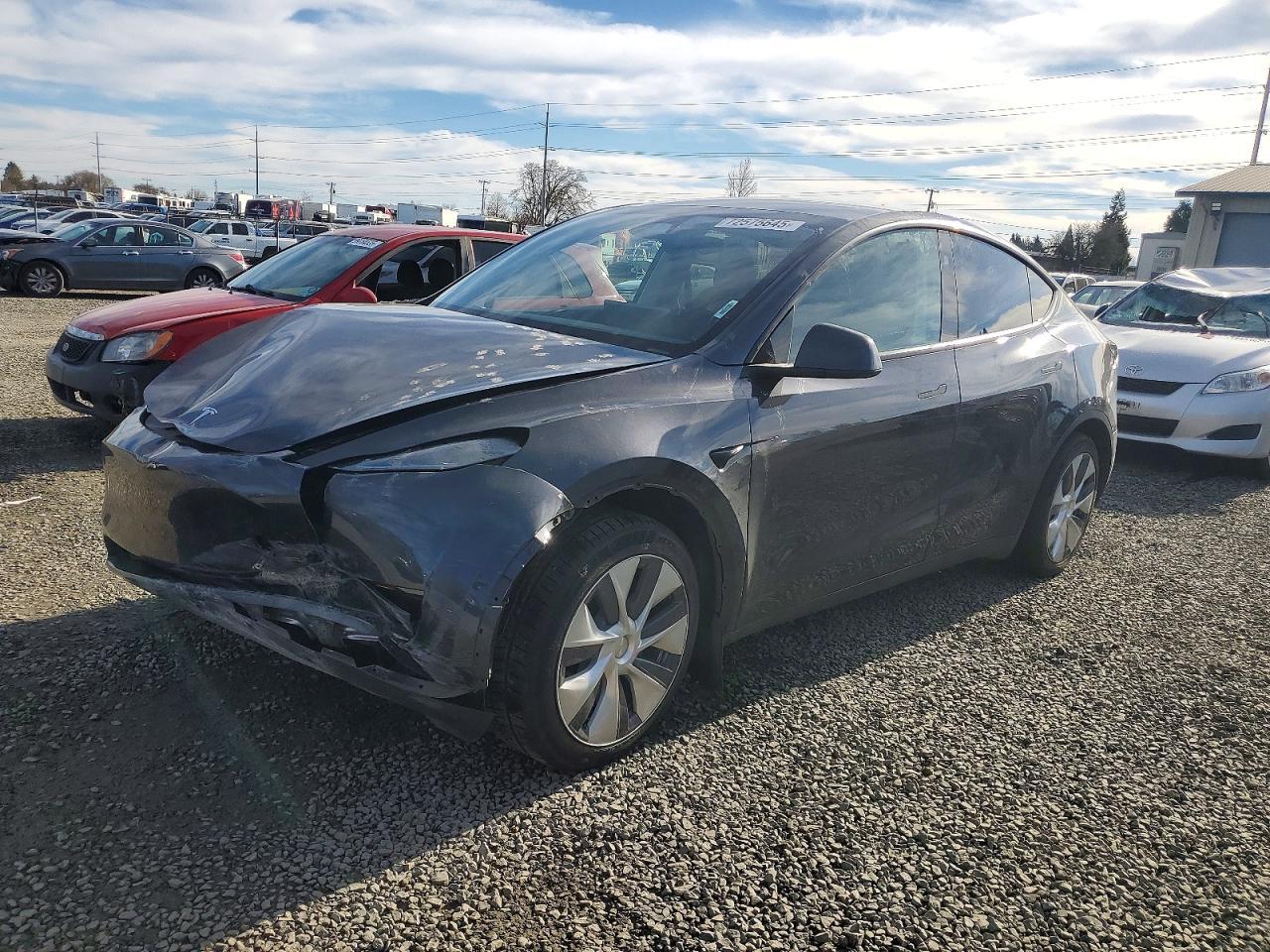 2024 Tesla Model y