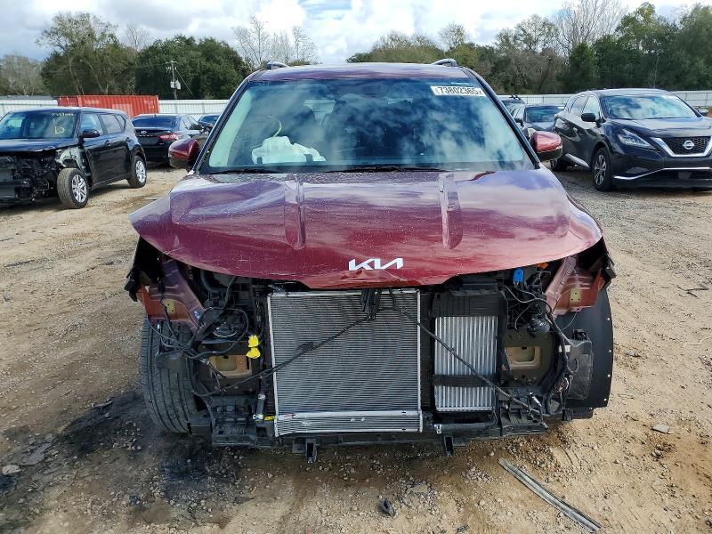 2025 KIA Carnival Hybrid ex