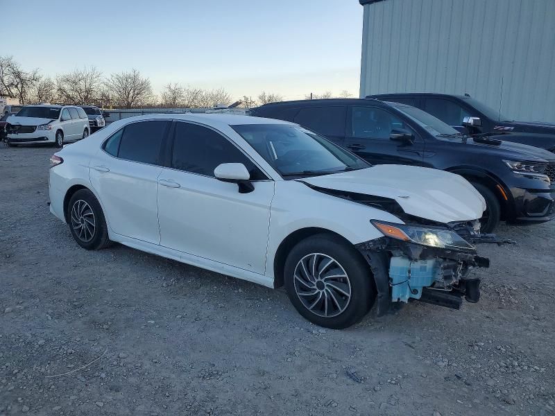 2019 Toyota Camry l