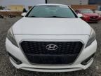 2016 Hyundai Sonata Hybrid