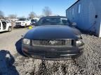 2005 Ford Mustang