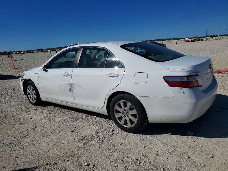 2009 Toyota Camry Hybrid