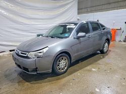 Ford Focus salvage cars for sale: 2009 Ford Focus se