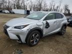2019 Lexus Nx 300 Base
