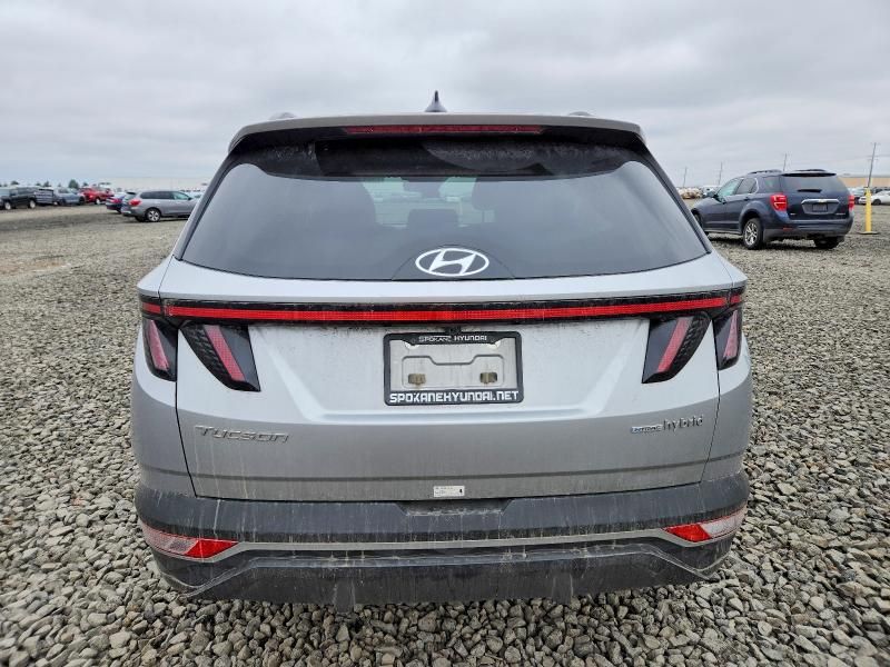 2024 Hyundai Tucson sel Convenience
