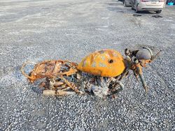 Salvage motorcycles for sale at Gastonia, NC auction: 2013 Triumph Bonneville