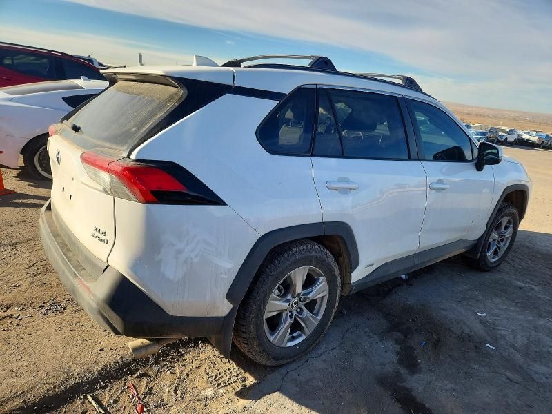 2024 Toyota Rav4 xle